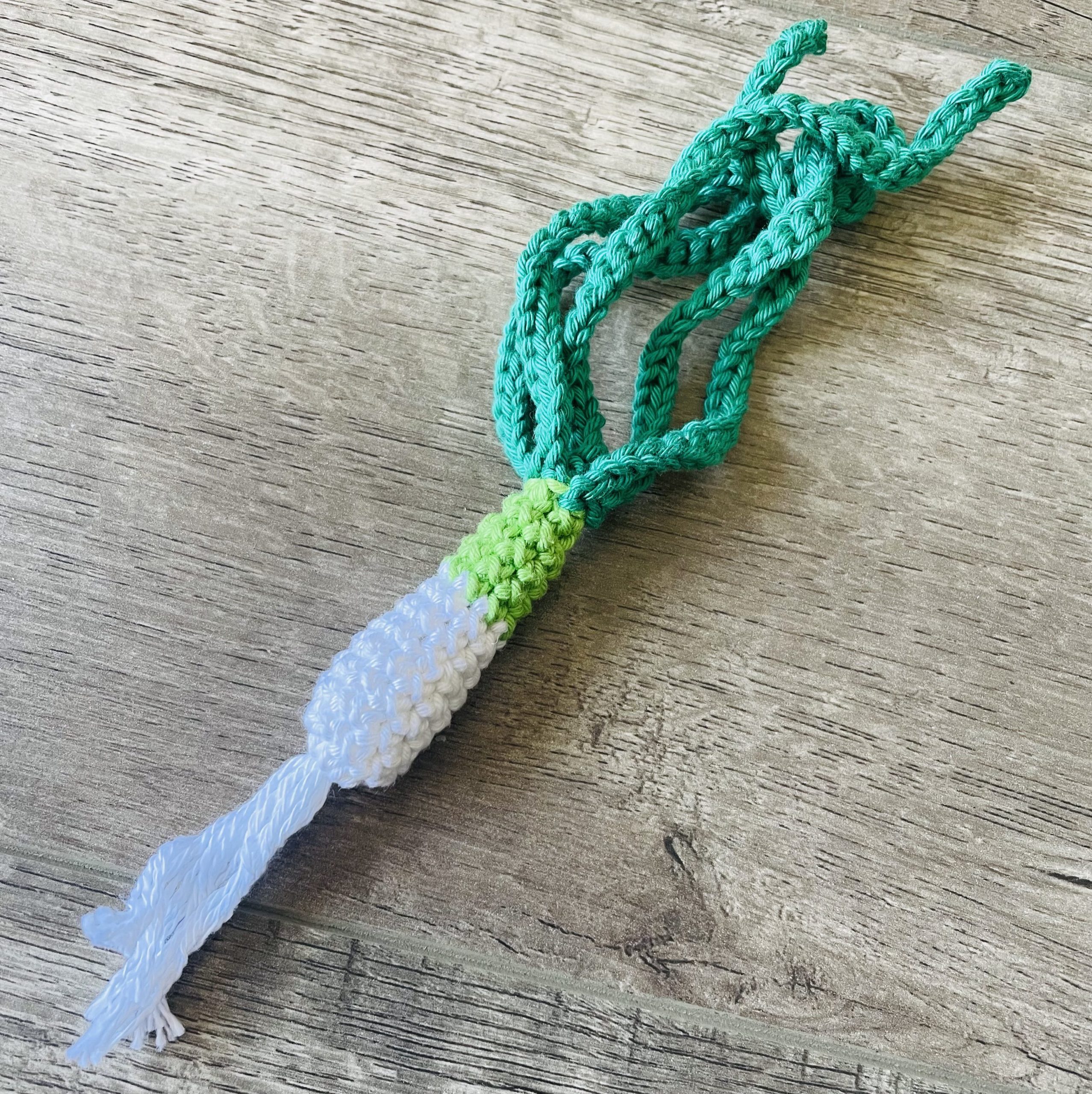 kids crochet play food spring onion